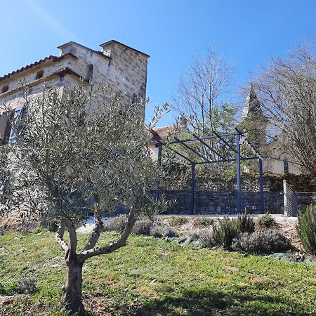 Le pigeonnier de felines Villa Caylus Værelse billede