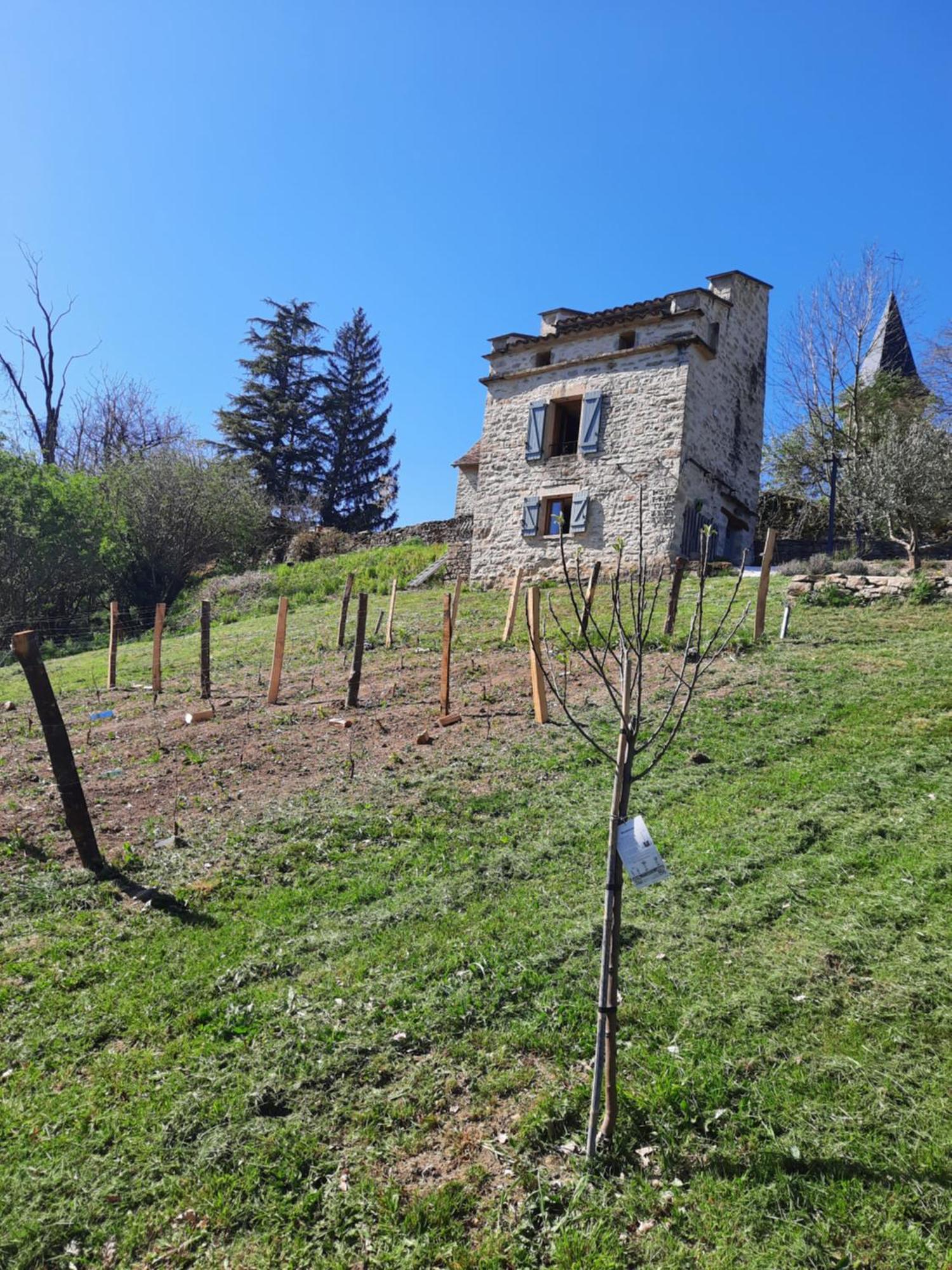 Le pigeonnier de felines Villa Caylus Værelse billede